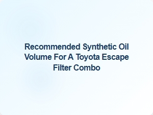 Recommended Synthetic Oil Volume for Your Filter Combo